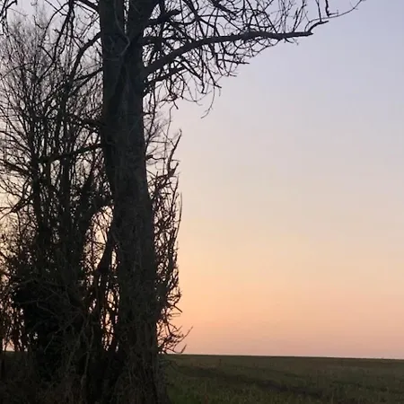 Logis Du Chateau ホテル 3*