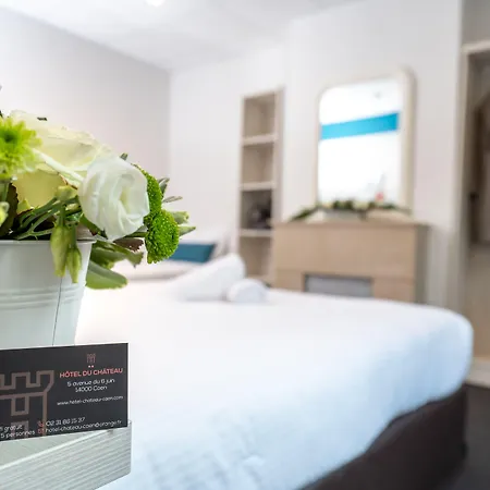 Logis Du Chateau 3* Caen